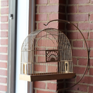 Cages and accessories for birds and rodents